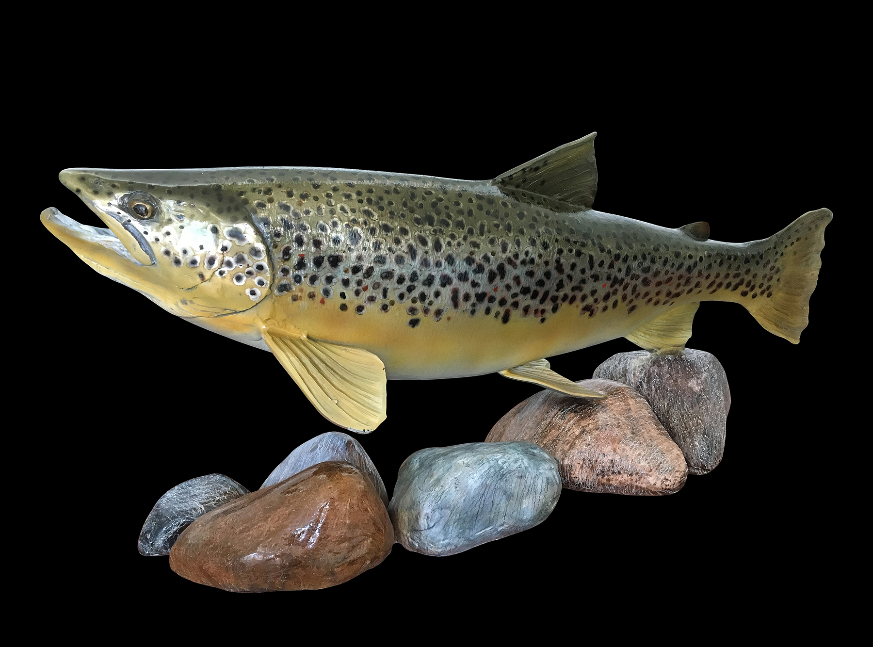 Brown Trout .22