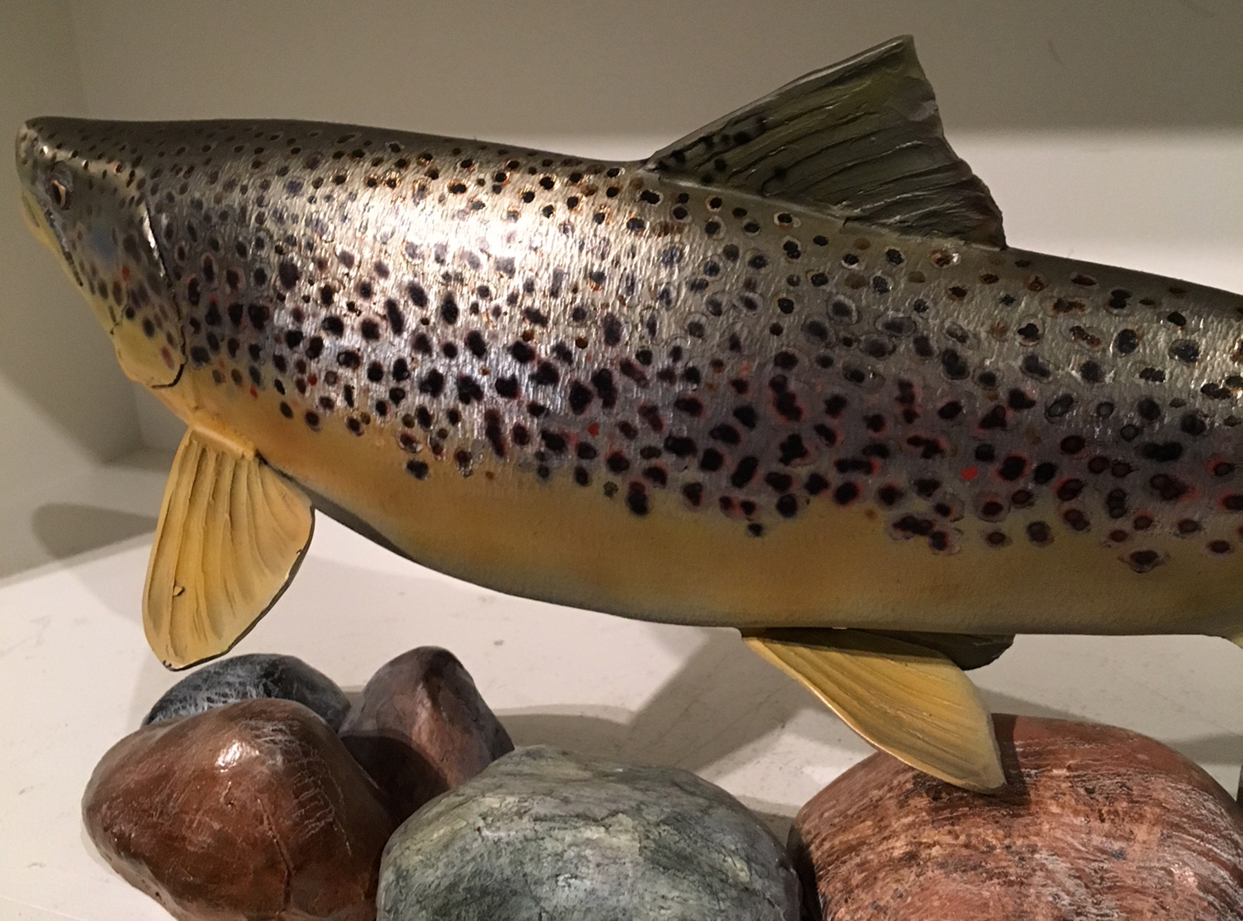 Brown Trout .22